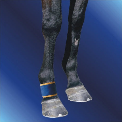 Magnetic Pastern/fetlock boot