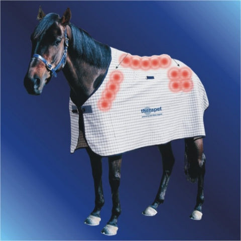 Magnetic Horse Rug